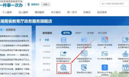 高考查分视频,见证青春梦想的绽放